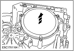 C1701164